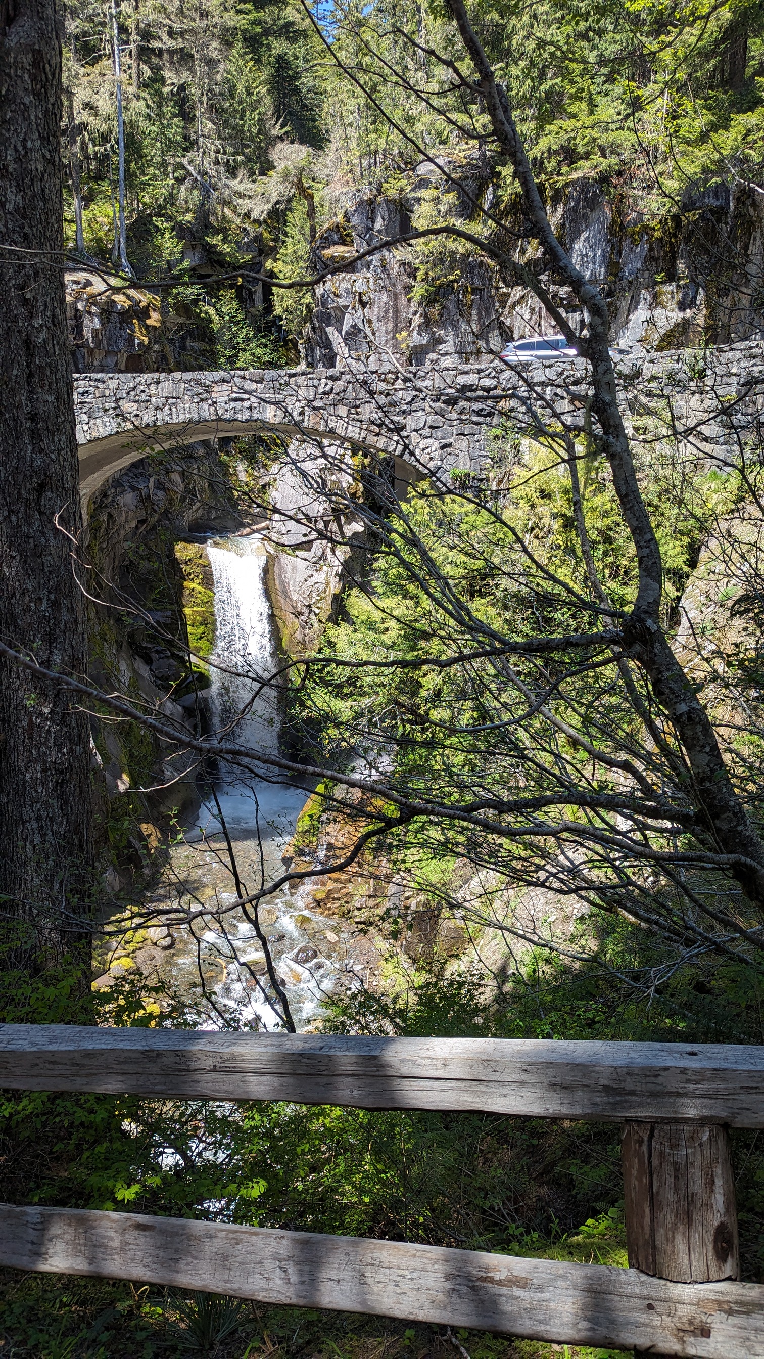 Christine Falls